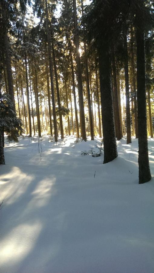 Schwarzwald Geht Immer Fewo 60 Qm Mit Grossem Suedbalkon, Wlan Und Magenta Tv Schönwalde Exterior foto